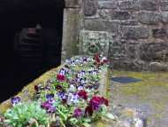 Burg-Nanstein-SWR-Dreh-04