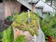IMG-20210713-WA0002