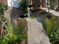 IMG-20210713-WA0009