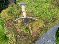 IMG-20210713-WA0010