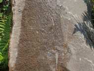 IMG-20210713-WA0011