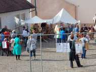 grumbeermarkt-2023-19