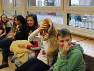 Schule-Waldfischbach-03.jpg