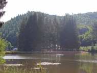 Sturzelbronn-23
